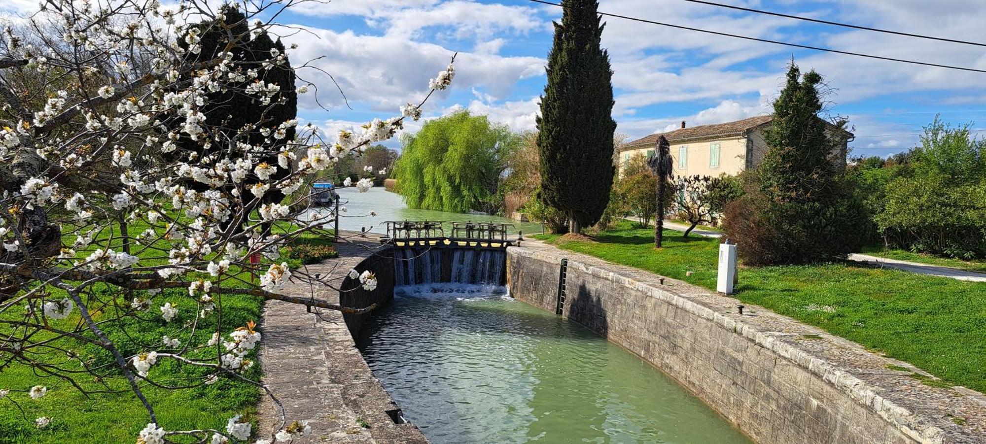 La Vernassonne Alzonne Dış mekan fotoğraf